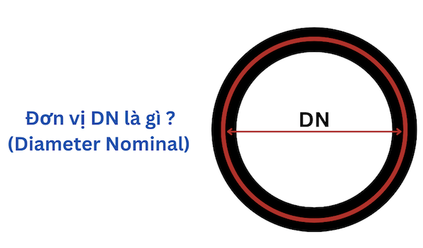 DN Là Gì