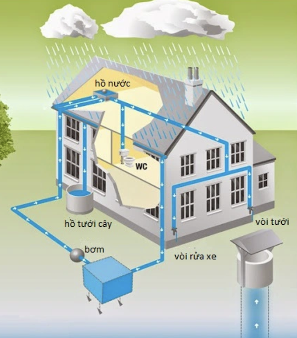 Hệ thống thu gom nước mưa sinh hoạt