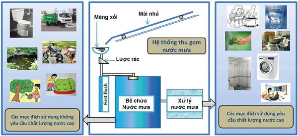 Hệ thống thu gom nước mưa sinh hoạt