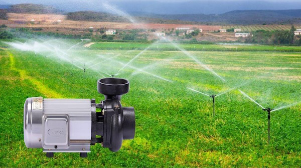 MÁY BƠM NƯỚC TƯỚI CÂY BẰNG BÉC
