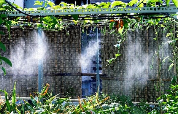 Chọn đường ống cho hệ thống phun sương quán cà phê
